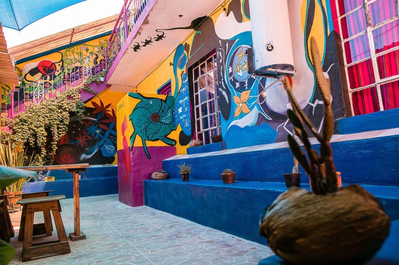 Hostal Chesal San Luis Potosí Exterior foto
