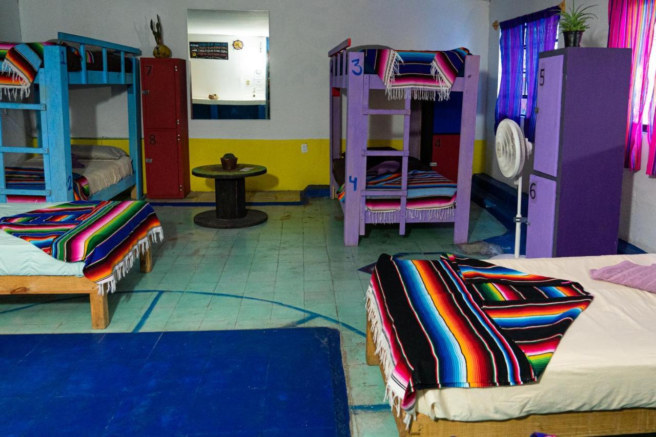 Hostal Chesal San Luis Potosí Exterior foto