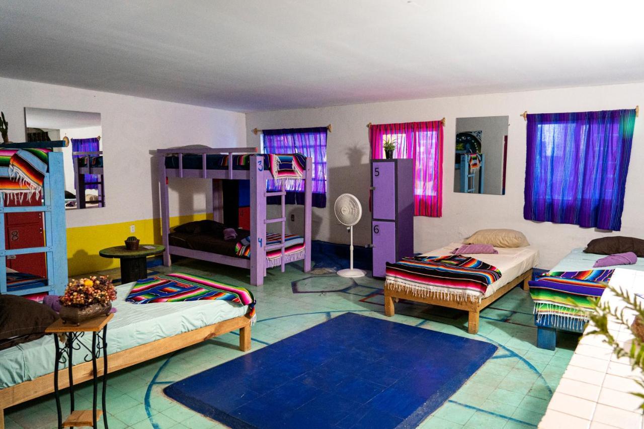 Hostal Chesal San Luis Potosí Exterior foto